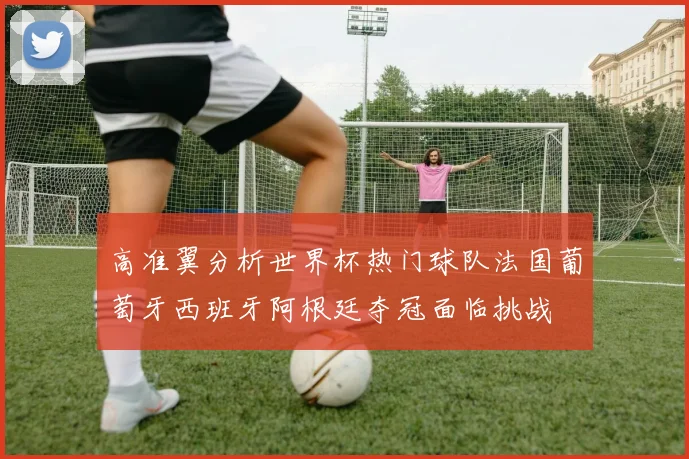 高准翼分析世界杯热门球队法国葡萄牙西班牙阿根廷夺冠面临挑战